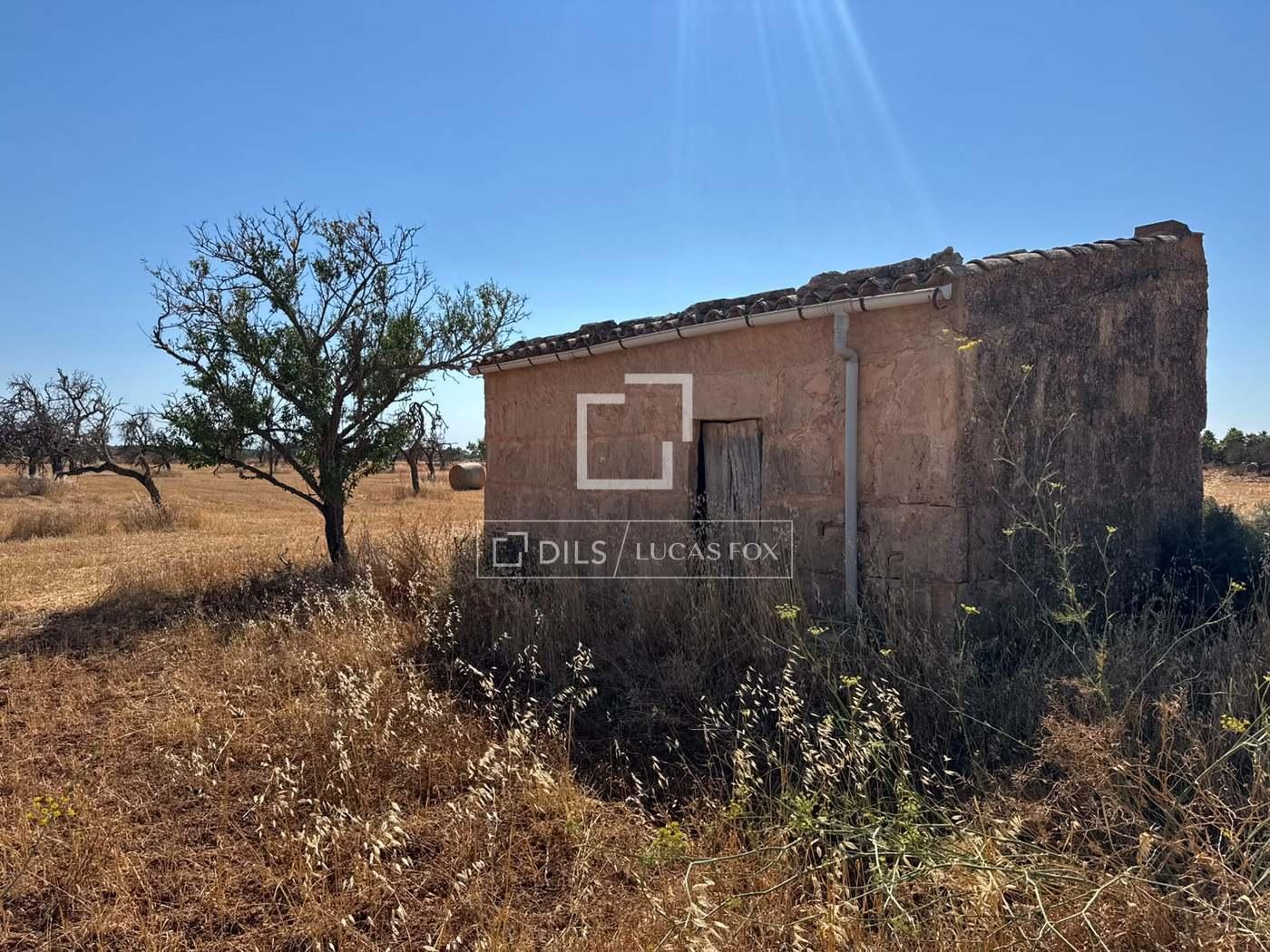Parcela en Venta en Campos