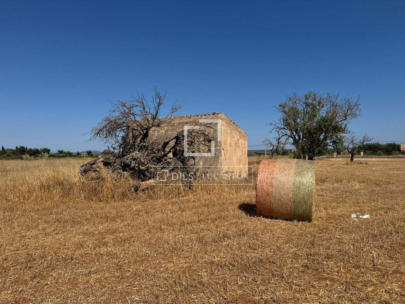 Parcela en Venta en Campos