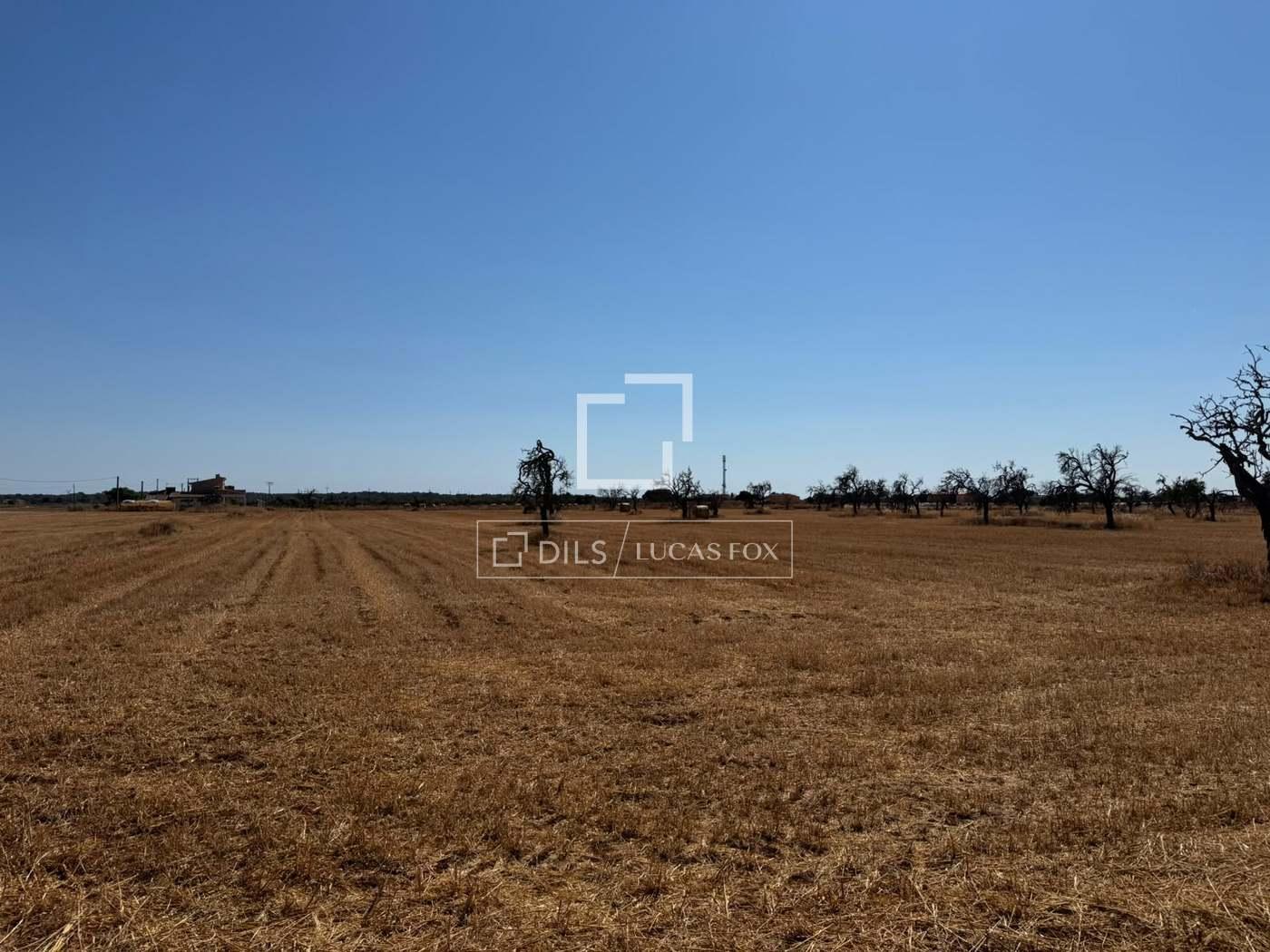 Parcela en Venta en Campos