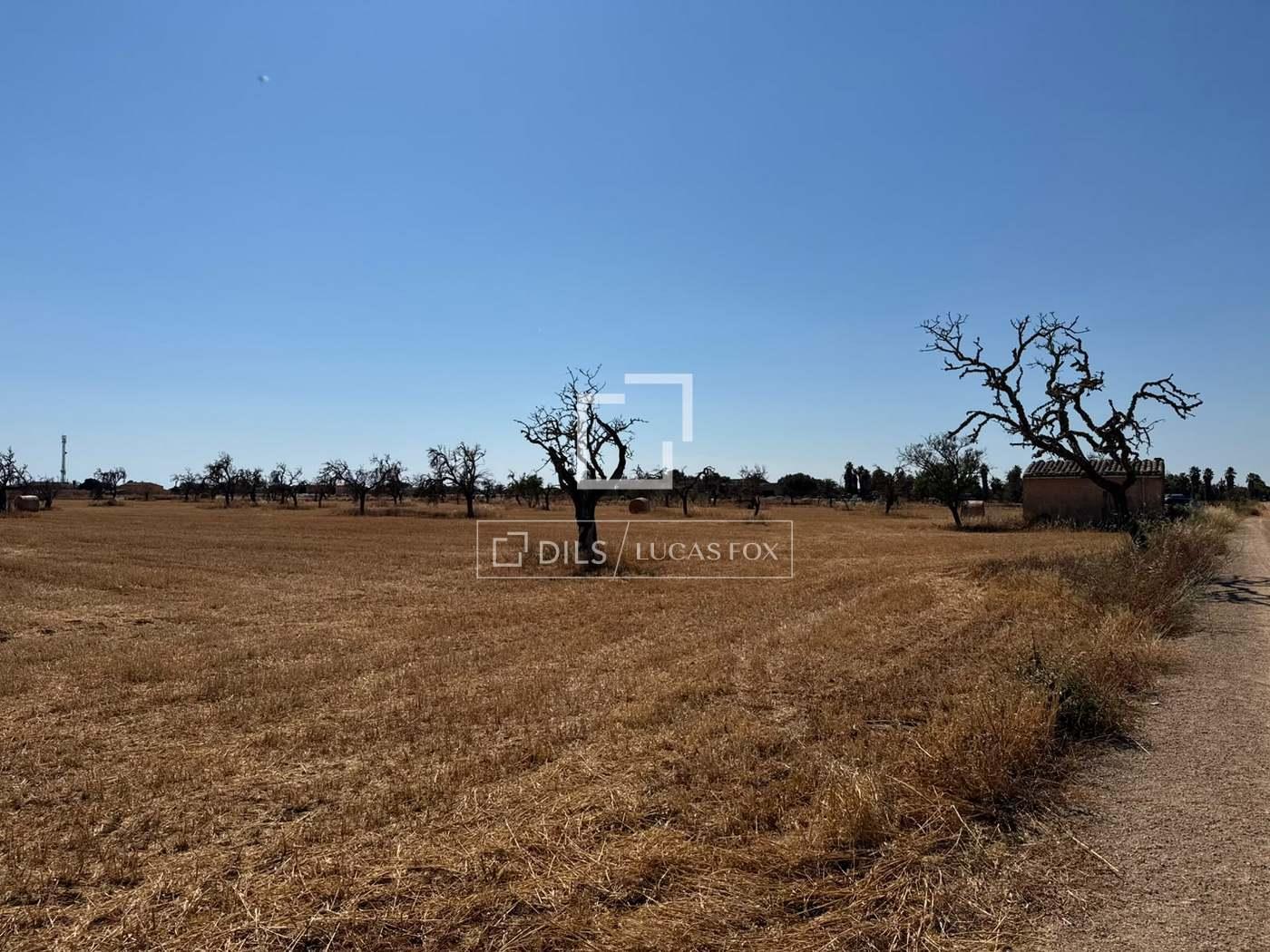 Parcela en Venta en Campos