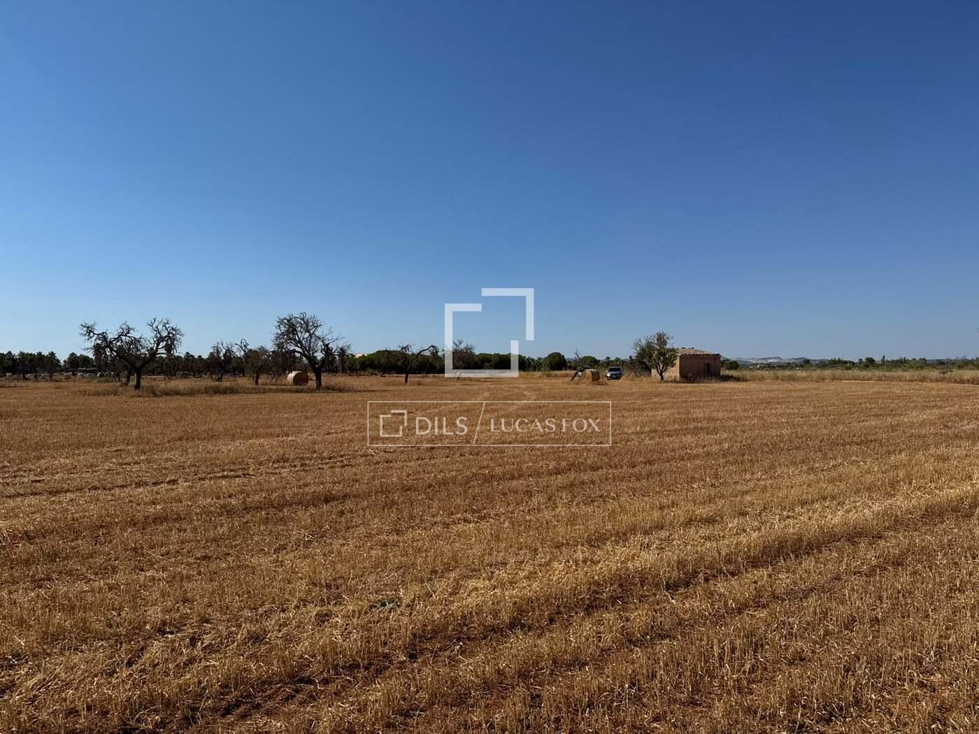 Parcela en Venta en Campos