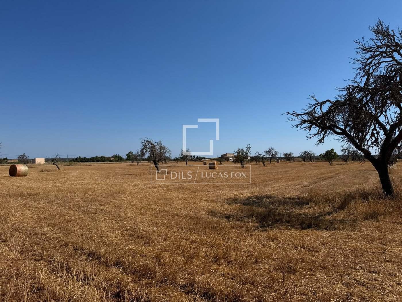 Parcela en Venta en Campos