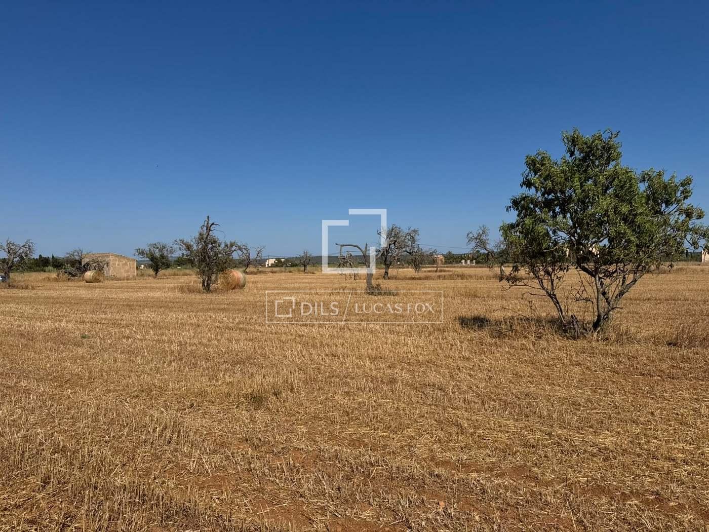 Parcela en Venta en Campos