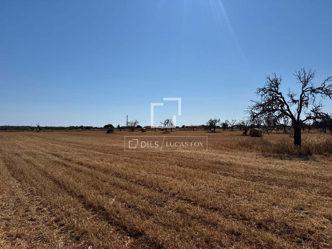 Parcela en Venta en Campos