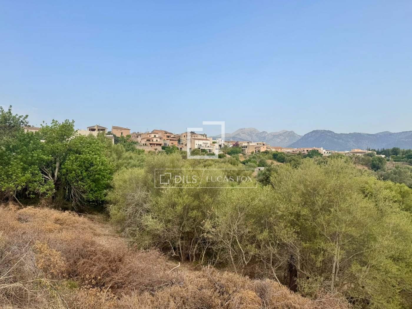 Plot for Sale in Campanet