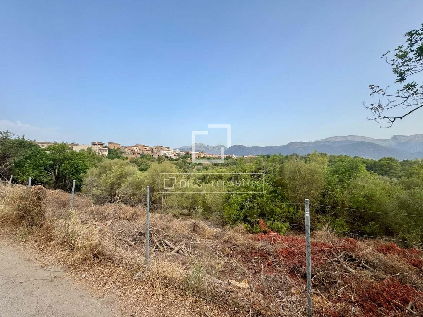 Plot for Sale in Campanet