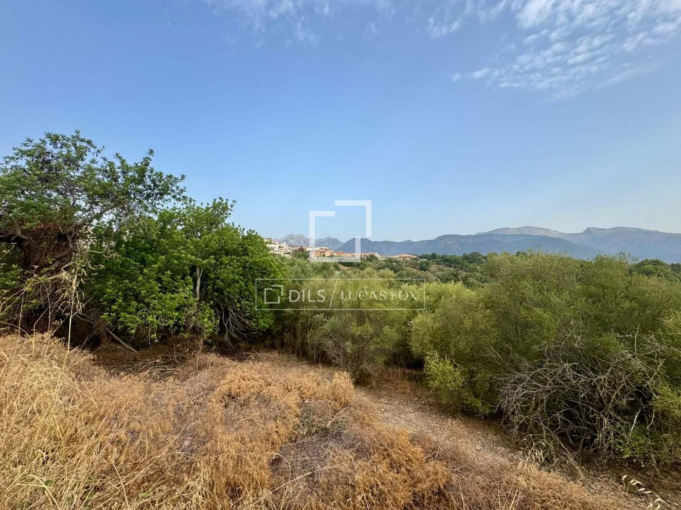 Plot for Sale in Campanet