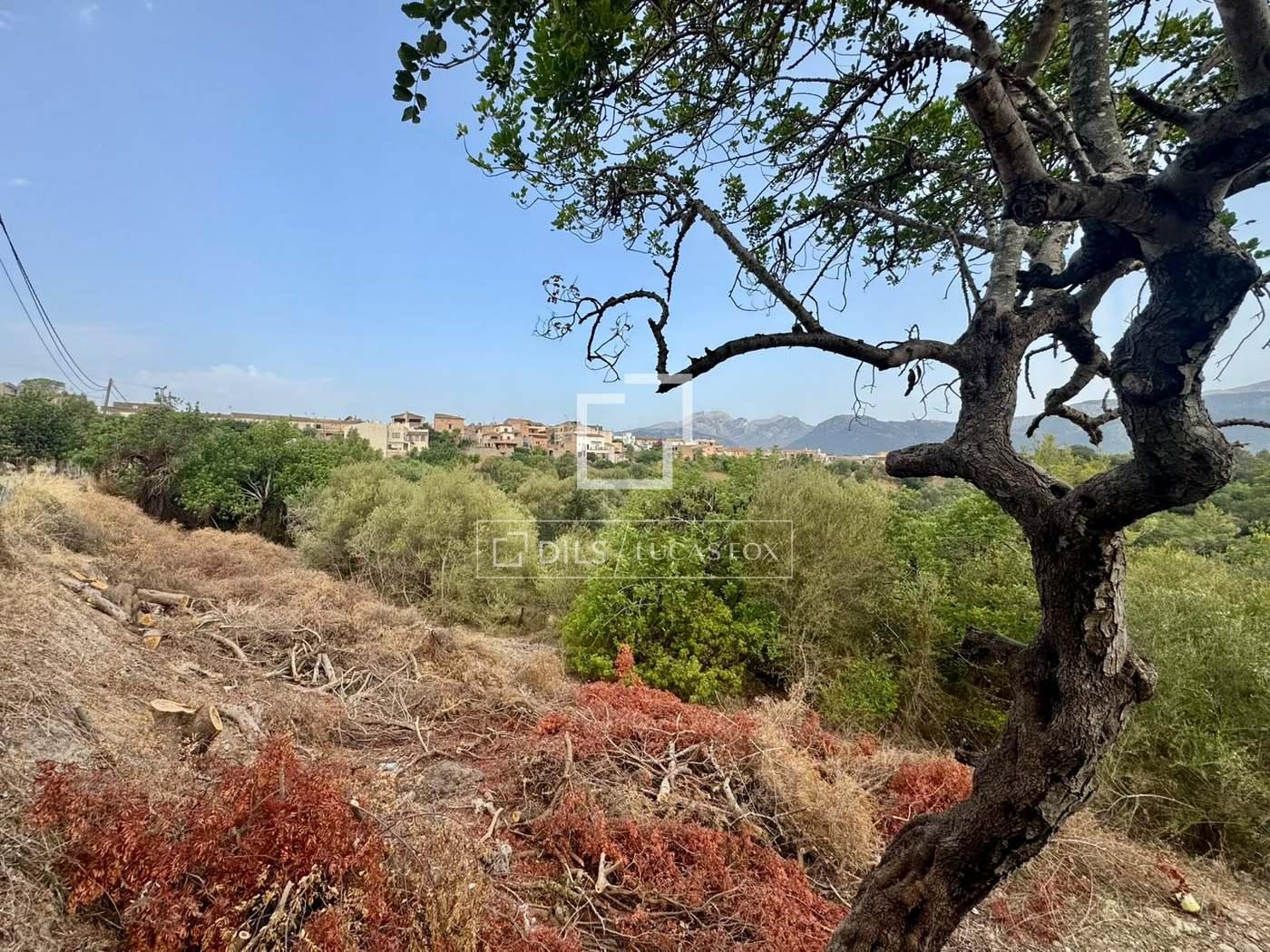 Plot for Sale in Campanet