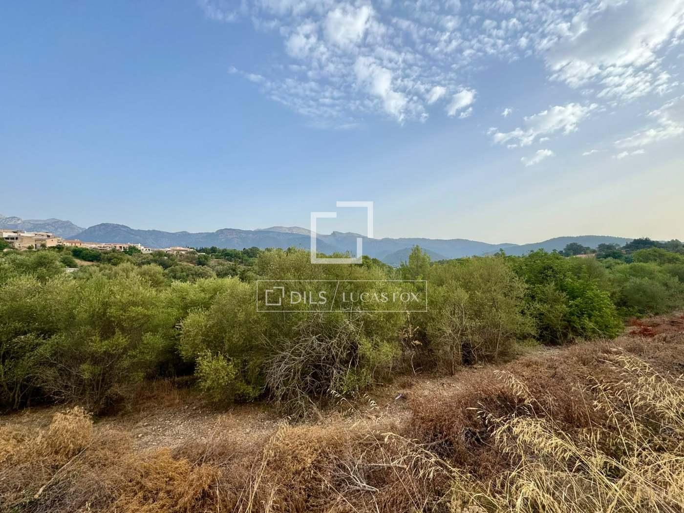 Plot for Sale in Campanet