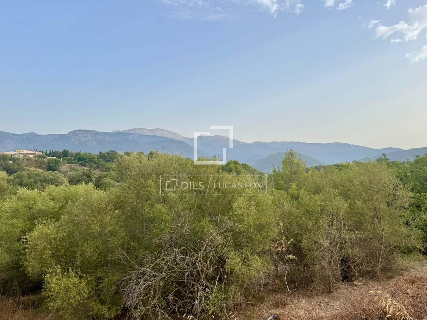 Plot for Sale in Campanet
