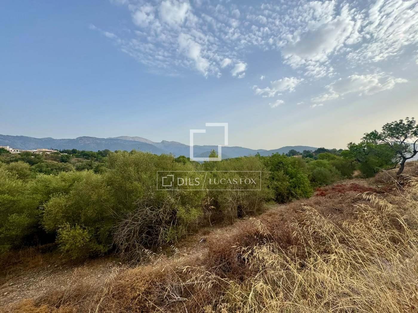 Plot for Sale in Campanet