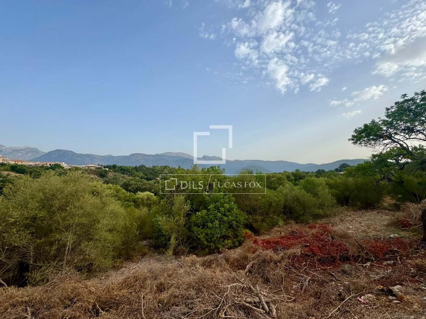 Plot for Sale in Campanet