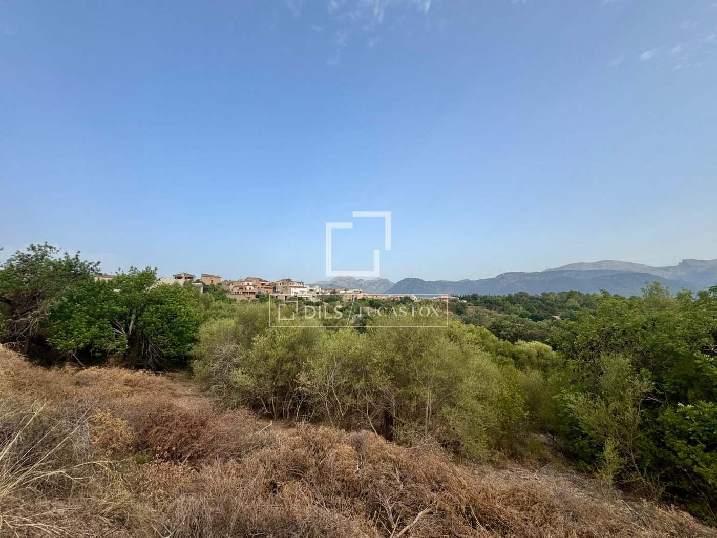 Plot for Sale in Campanet