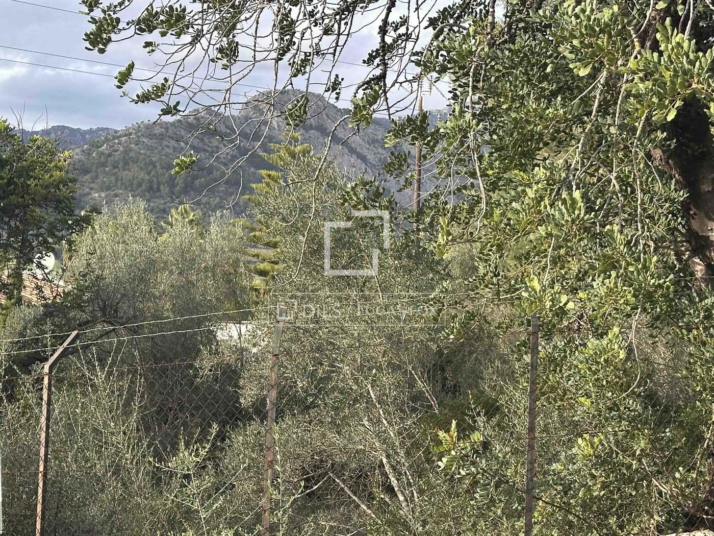 Parcela en Venta en Bunyola