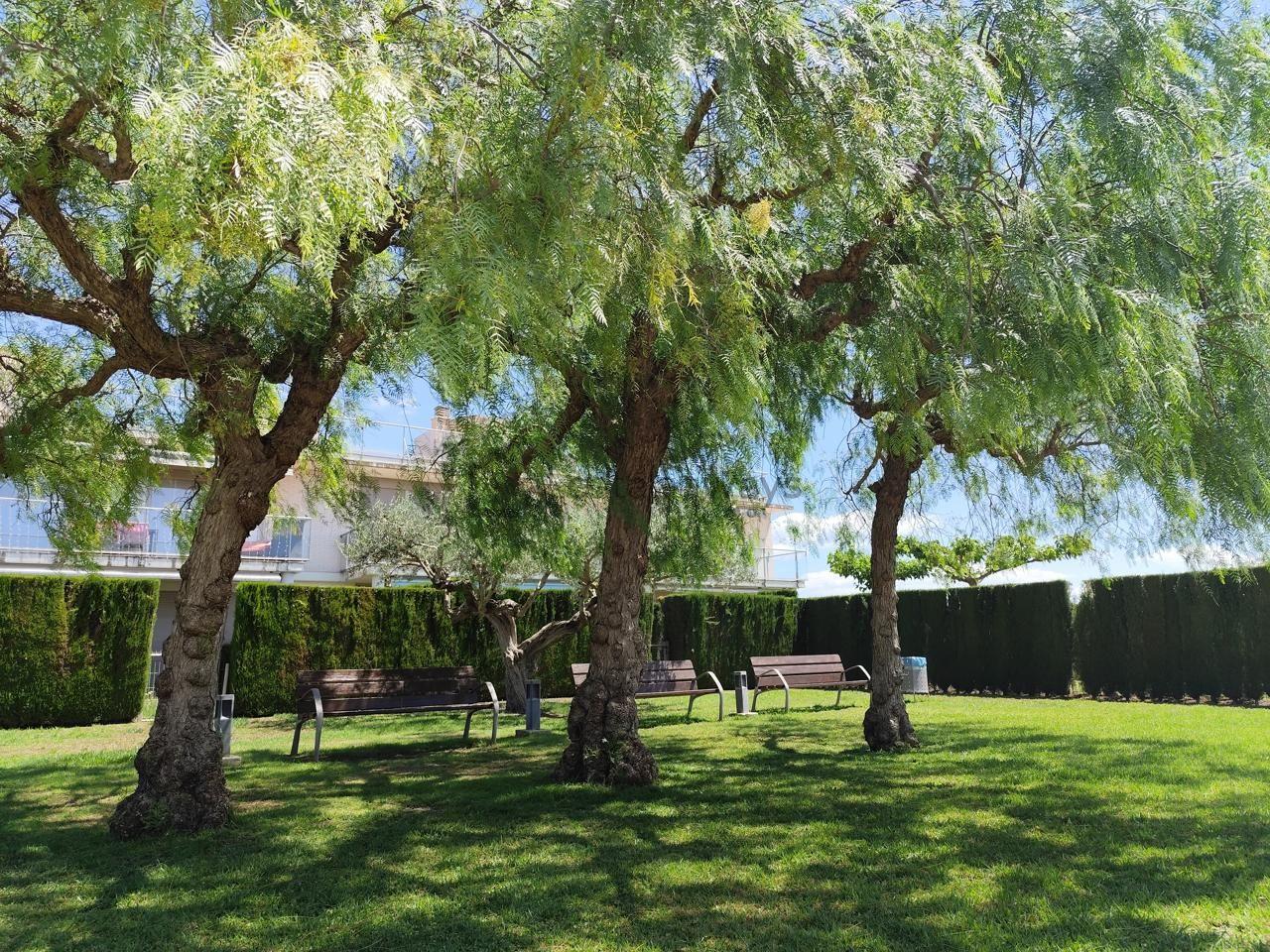 Flat for Sale in L' Ampolla