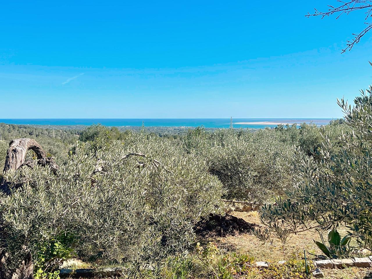 Casa en Venta en El Perelló