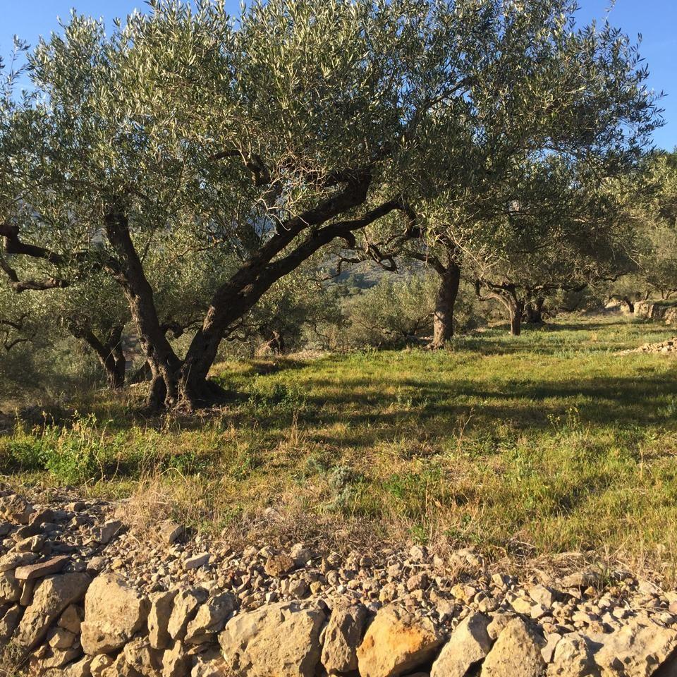 Casa en Venta en Tortosa
