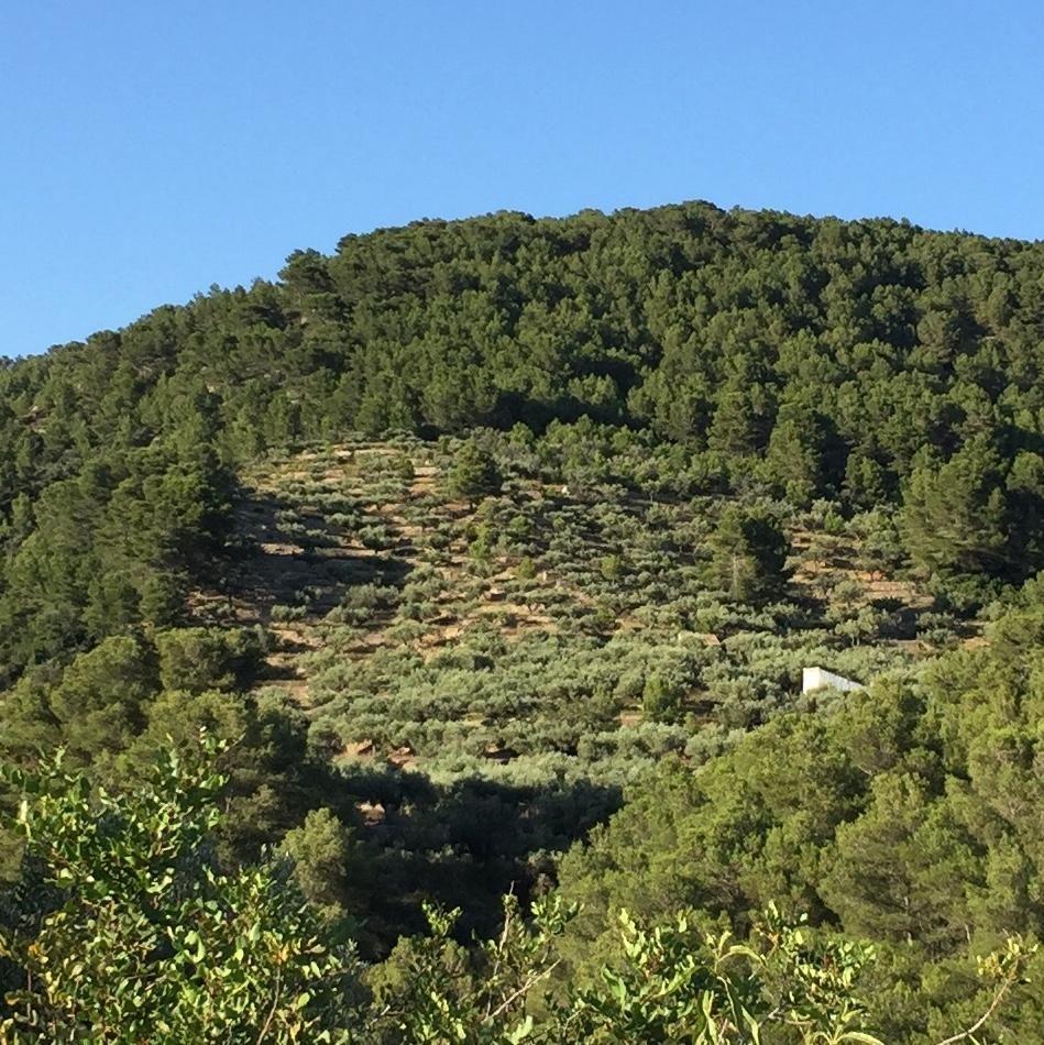 Casa en Venta en Tortosa