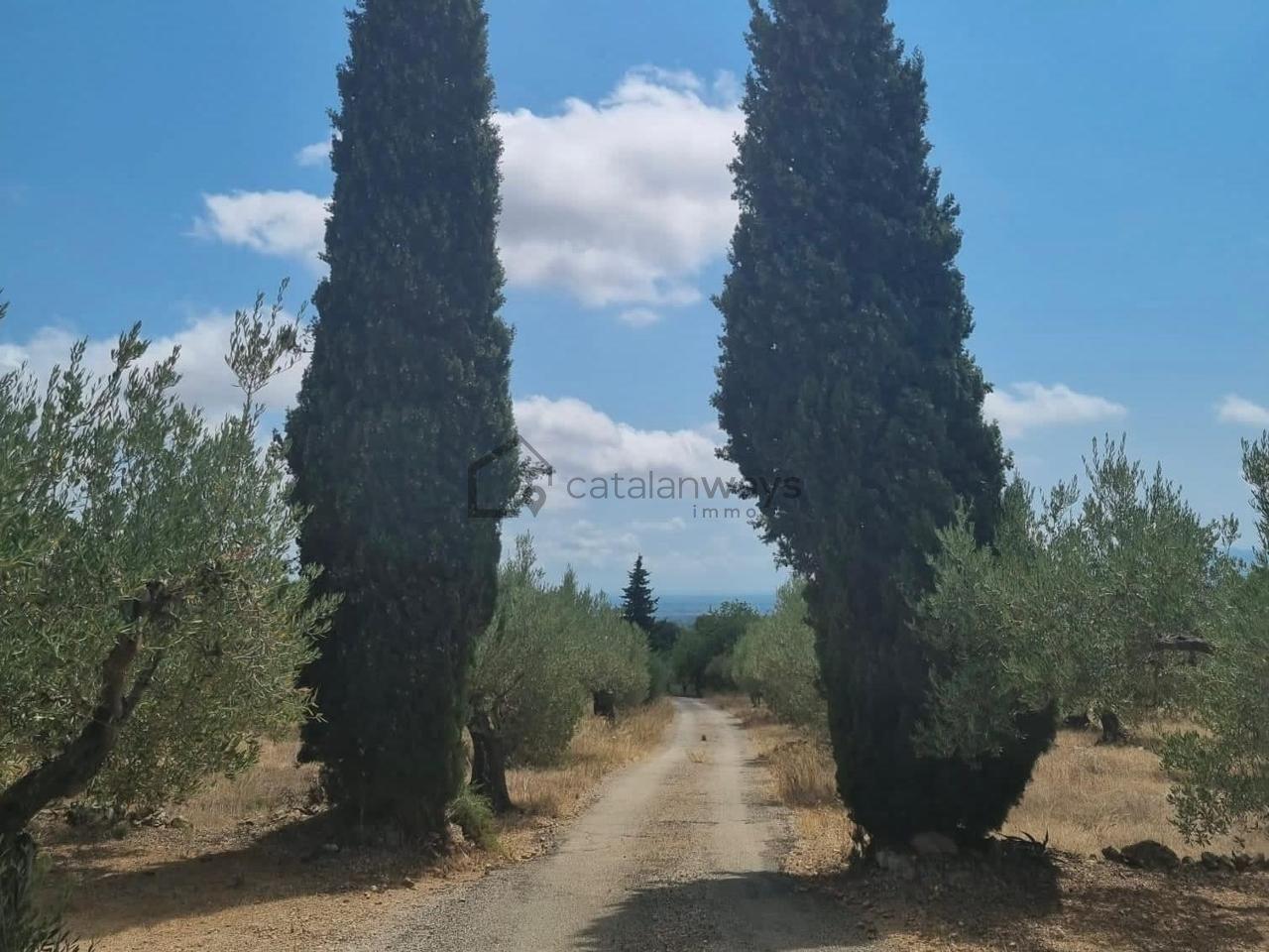 Casa en Venta en Tortosa