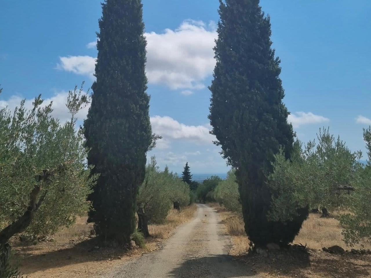 House for Sale in Tortosa