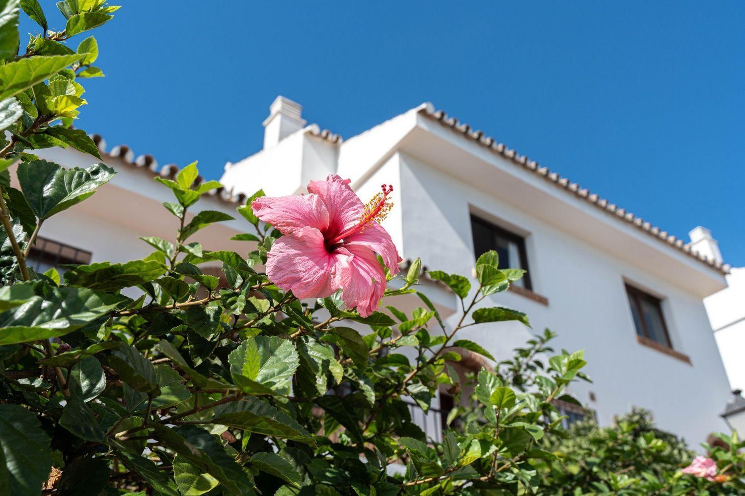 Piso en Venta en Mijas