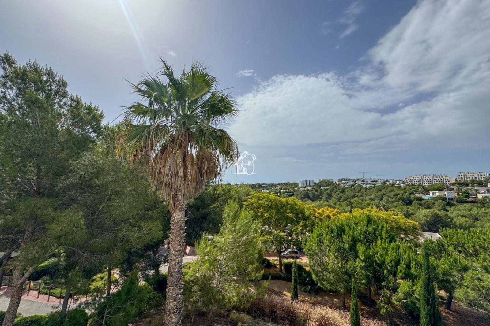 Piso en Venta en Orihuela