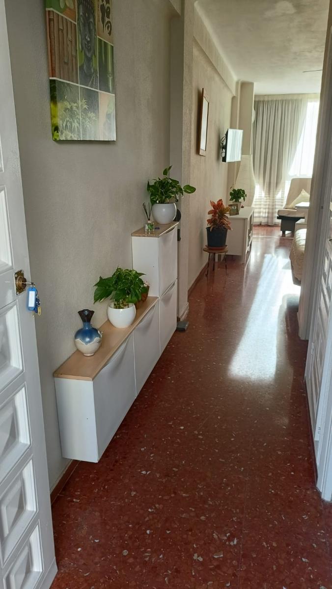 Studio for Rent in Torre del Mar