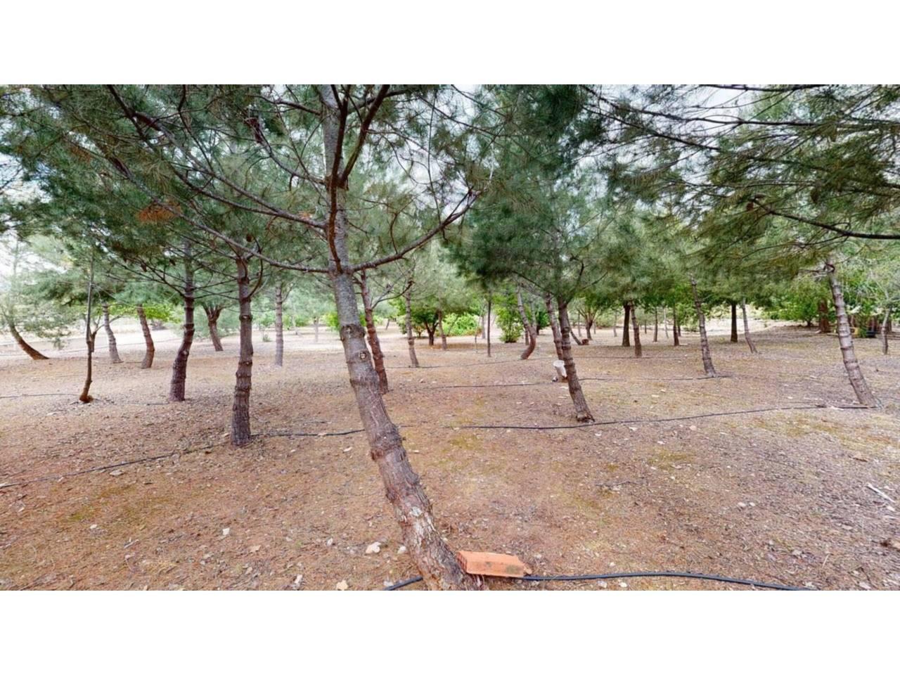 Chalet for Sale in Caravaca de la Cruz