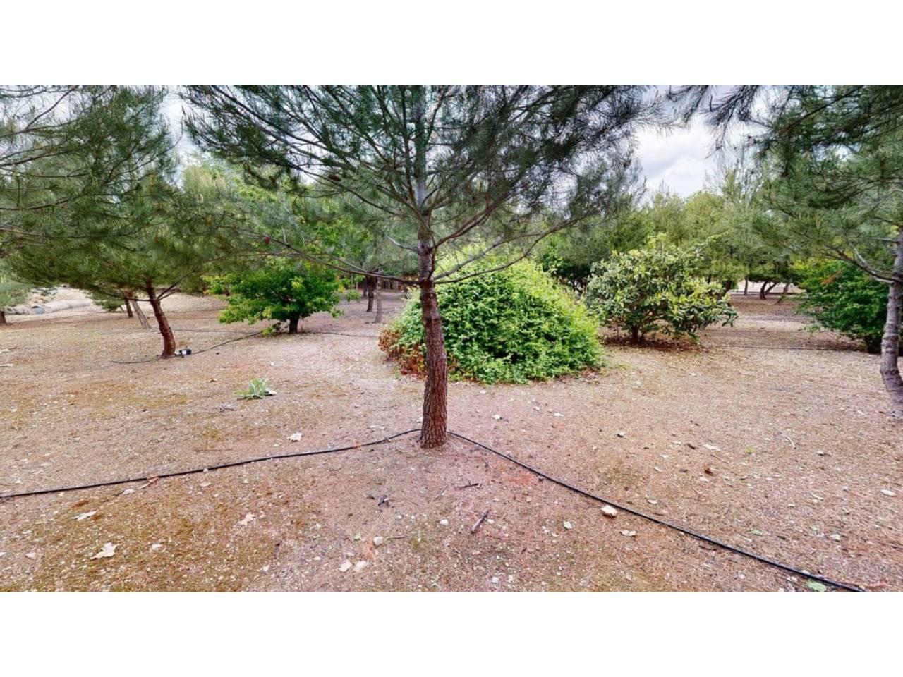 Chalet for Sale in Caravaca de la Cruz