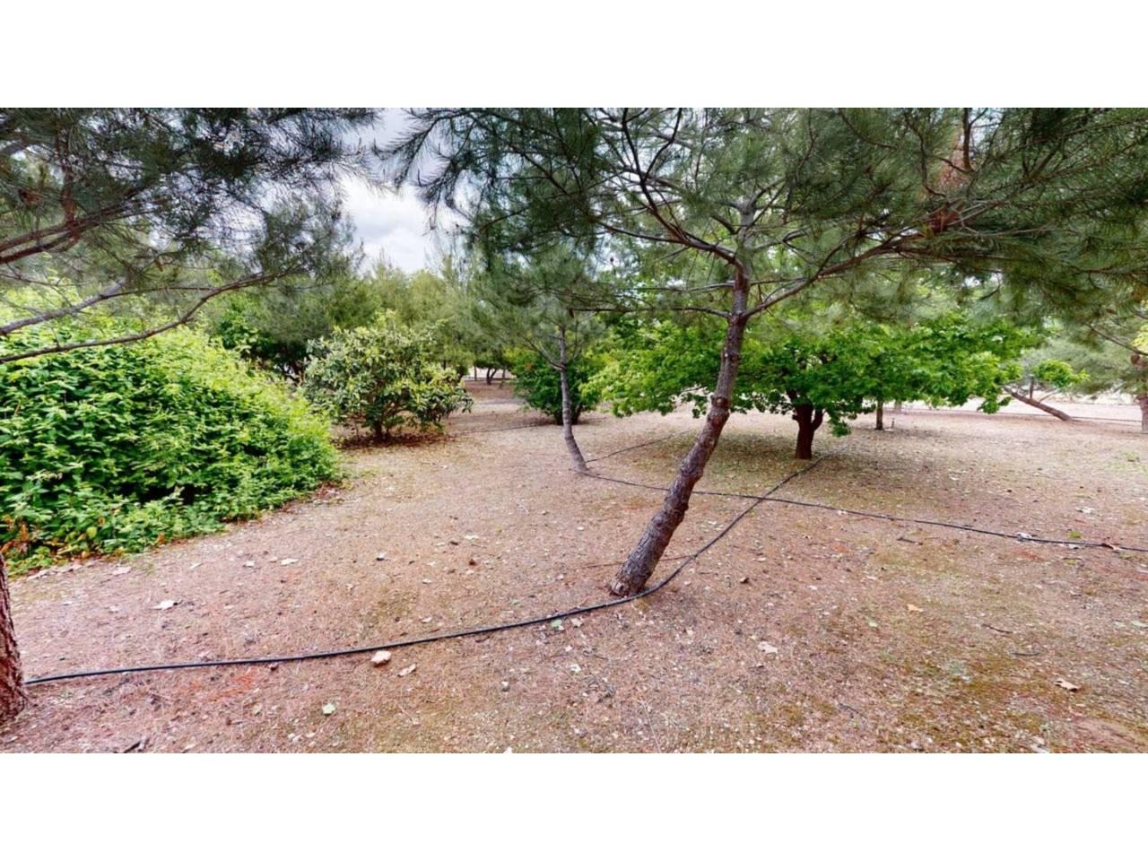 Chalet for Sale in Caravaca de la Cruz