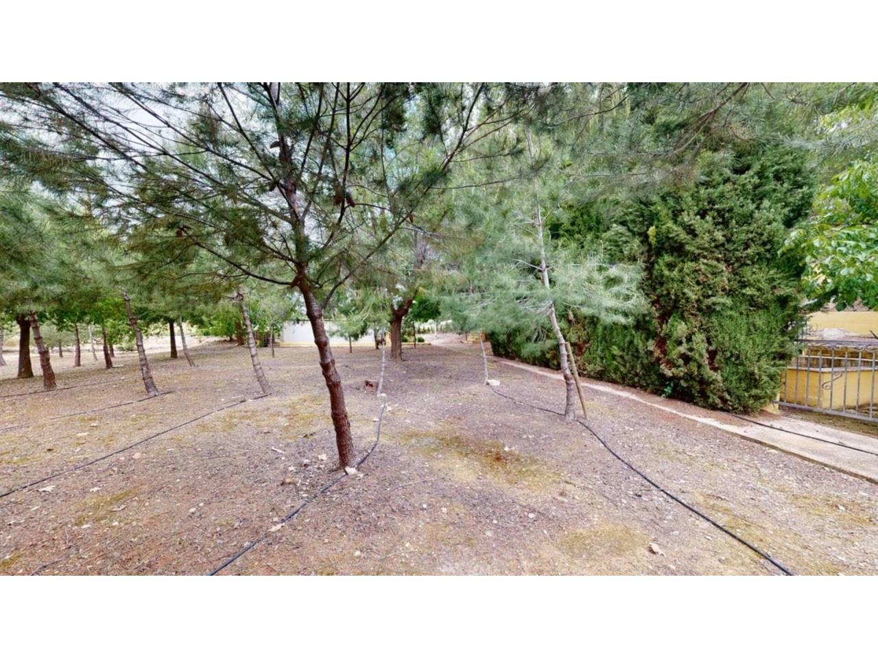 Chalet for Sale in Caravaca de la Cruz