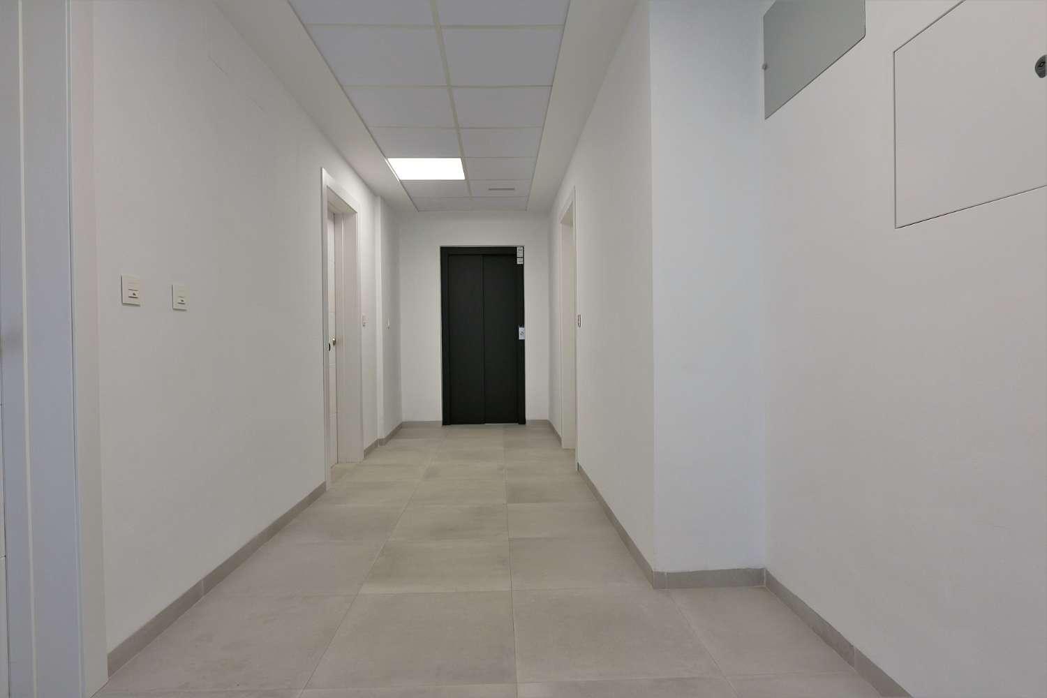 Apartment for Holiday Rental in San Javier