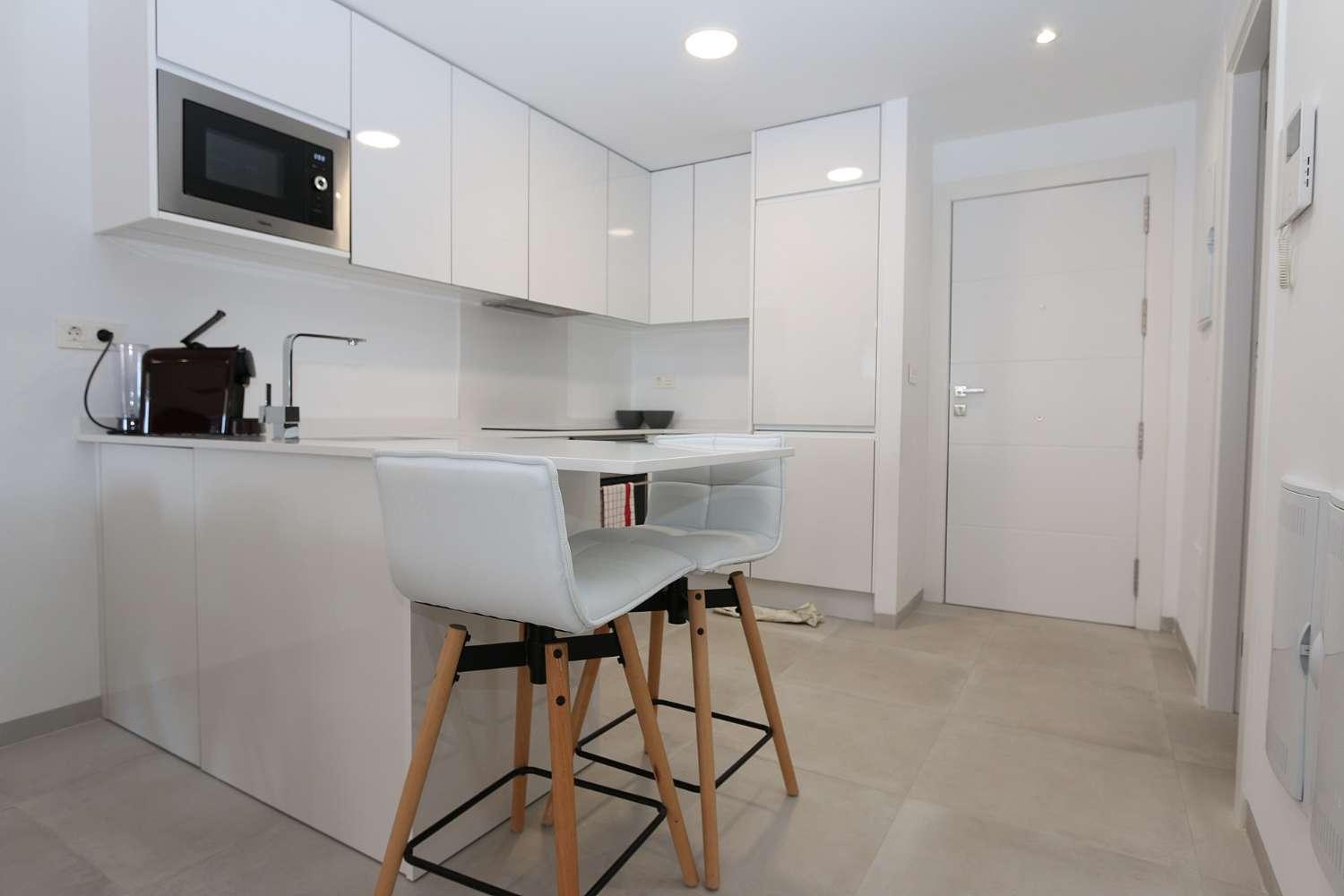 Apartment for Holiday Rental in San Javier