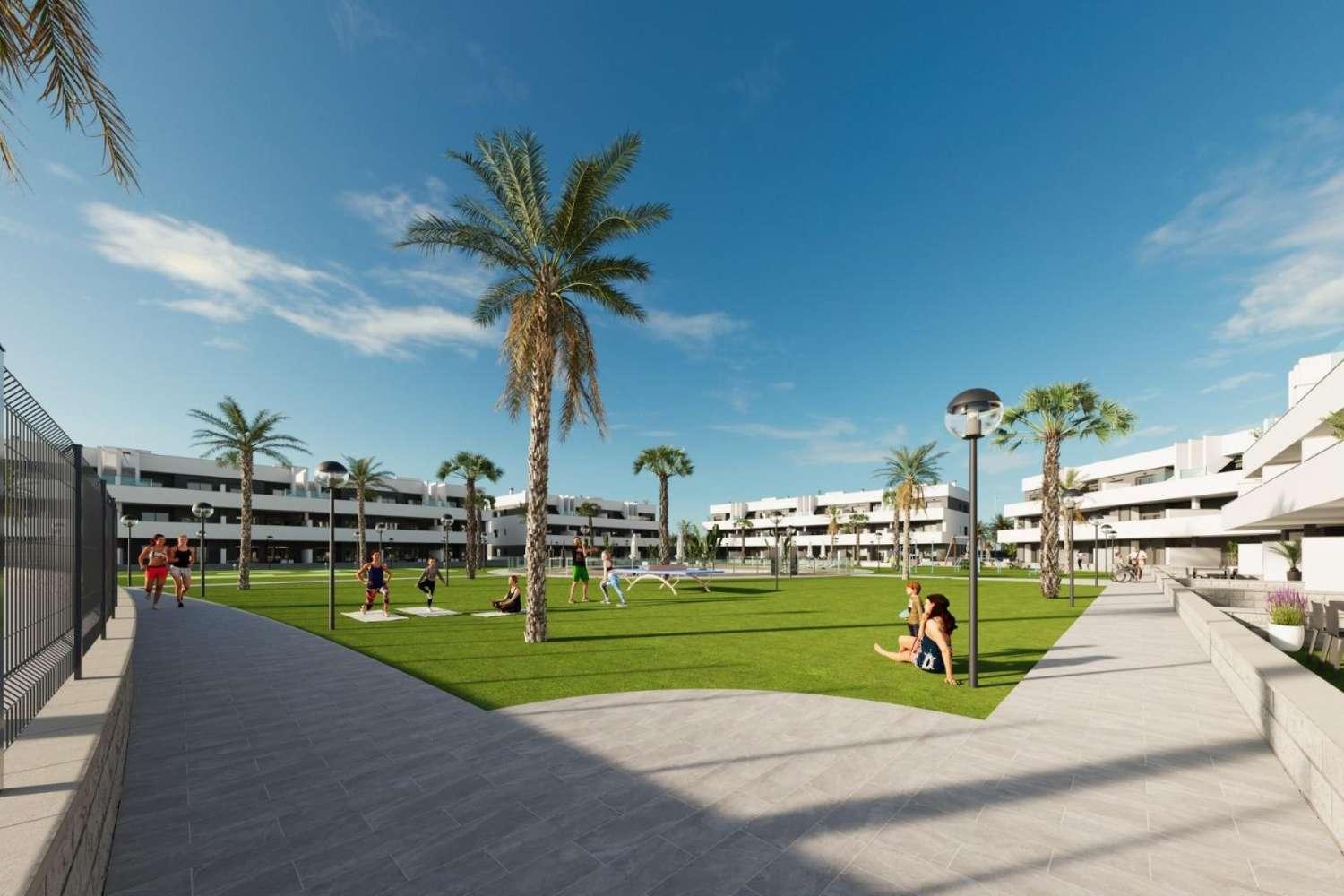 Apartamento en Venta en Guardamar del Segura