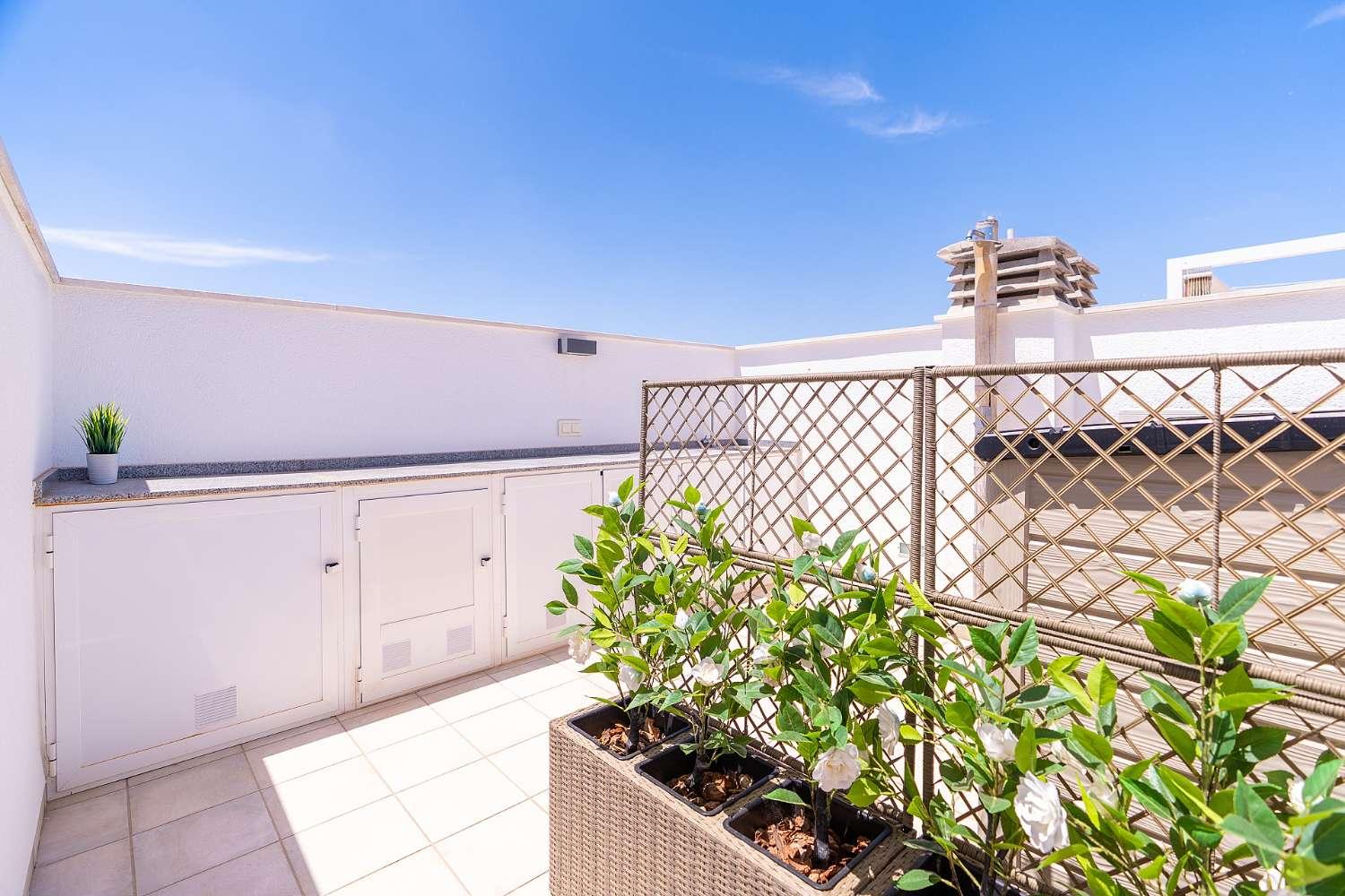 Apartment for Rent in San Pedro del Pinatar