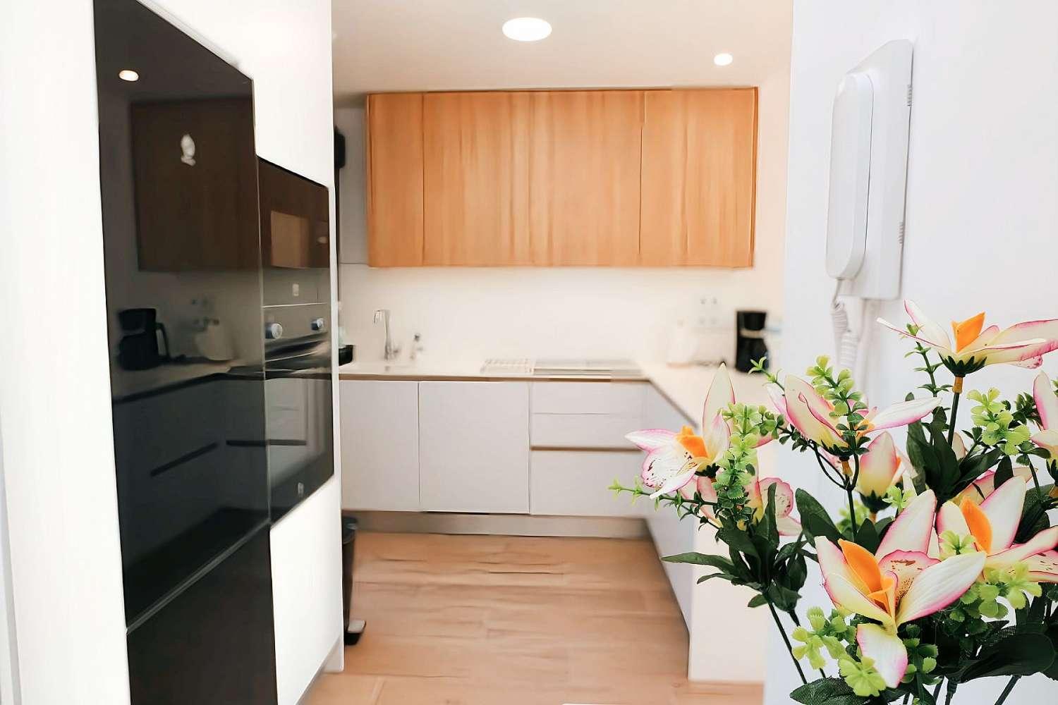 Penthouse for Rent in Pilar de la Horadada