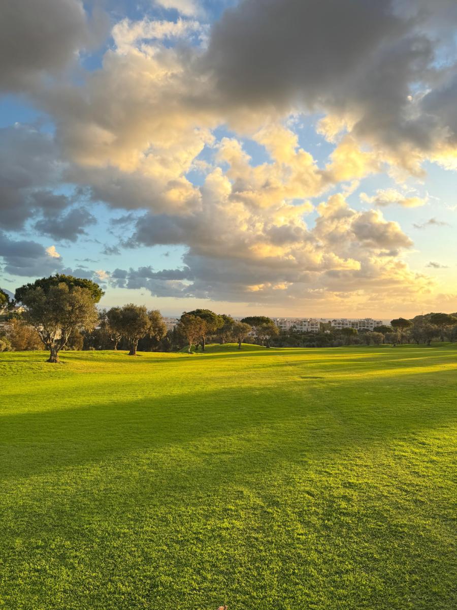 Apartment for Sale in Mijas