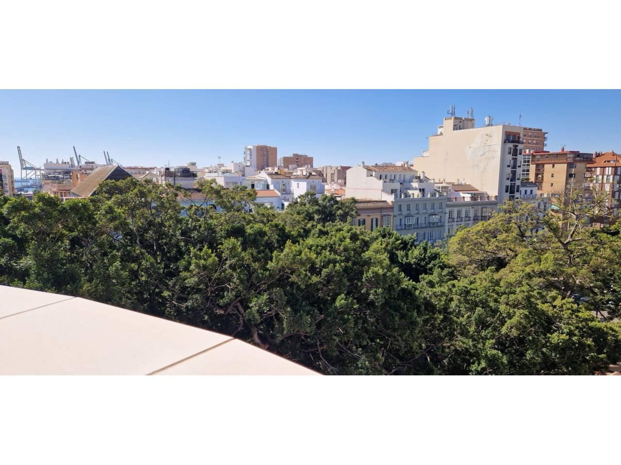 Penthouse for Sale in Málaga