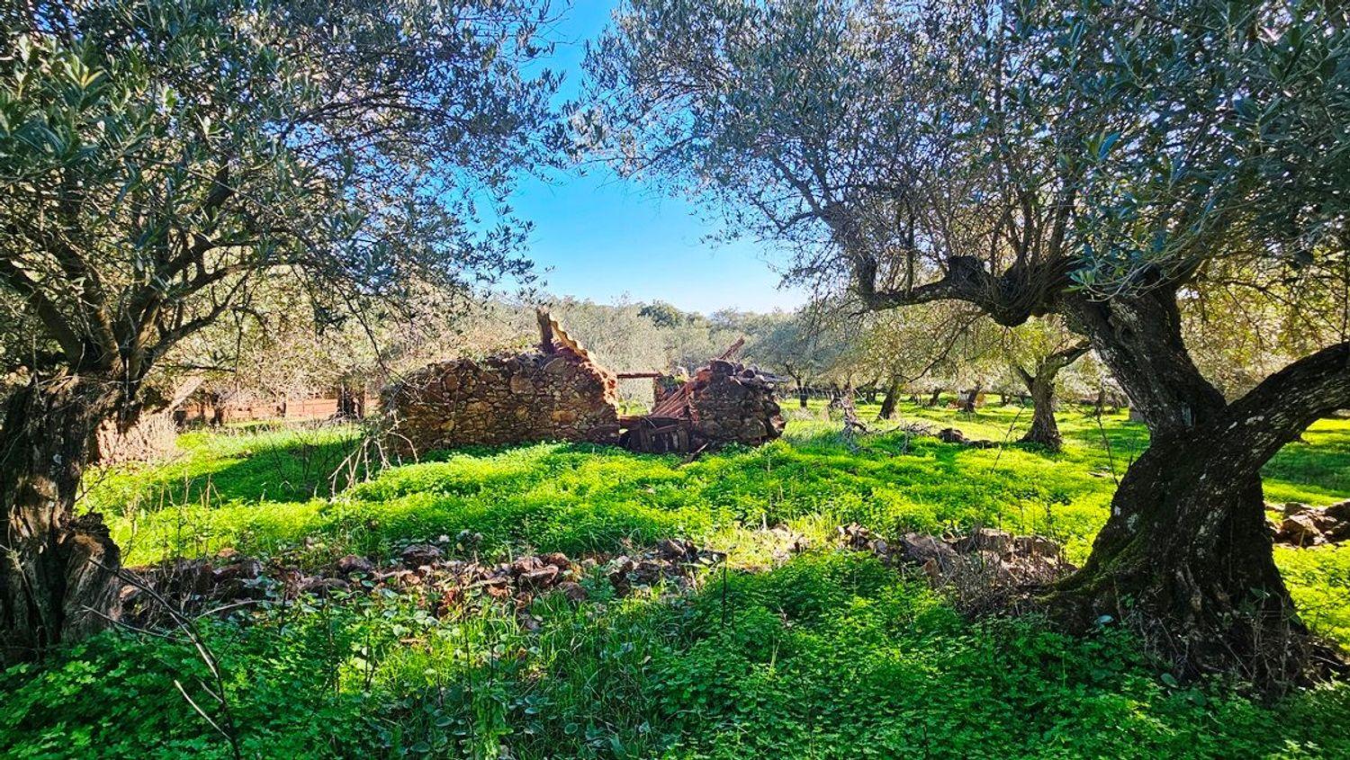 Building Site for Sale in Higuera de la Sierra