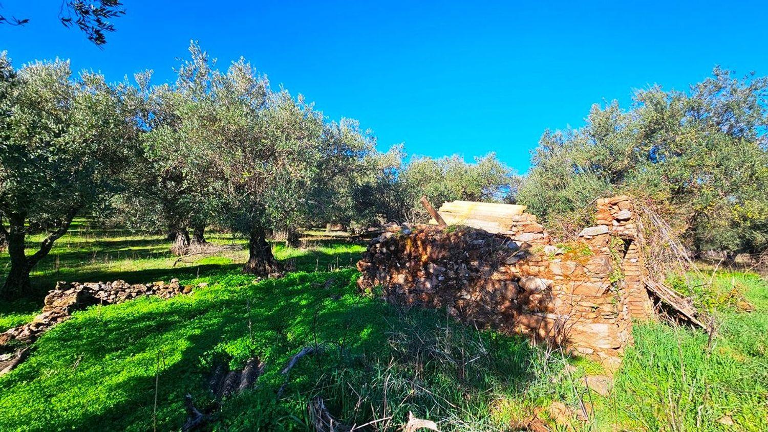 Building Site for Sale in Higuera de la Sierra