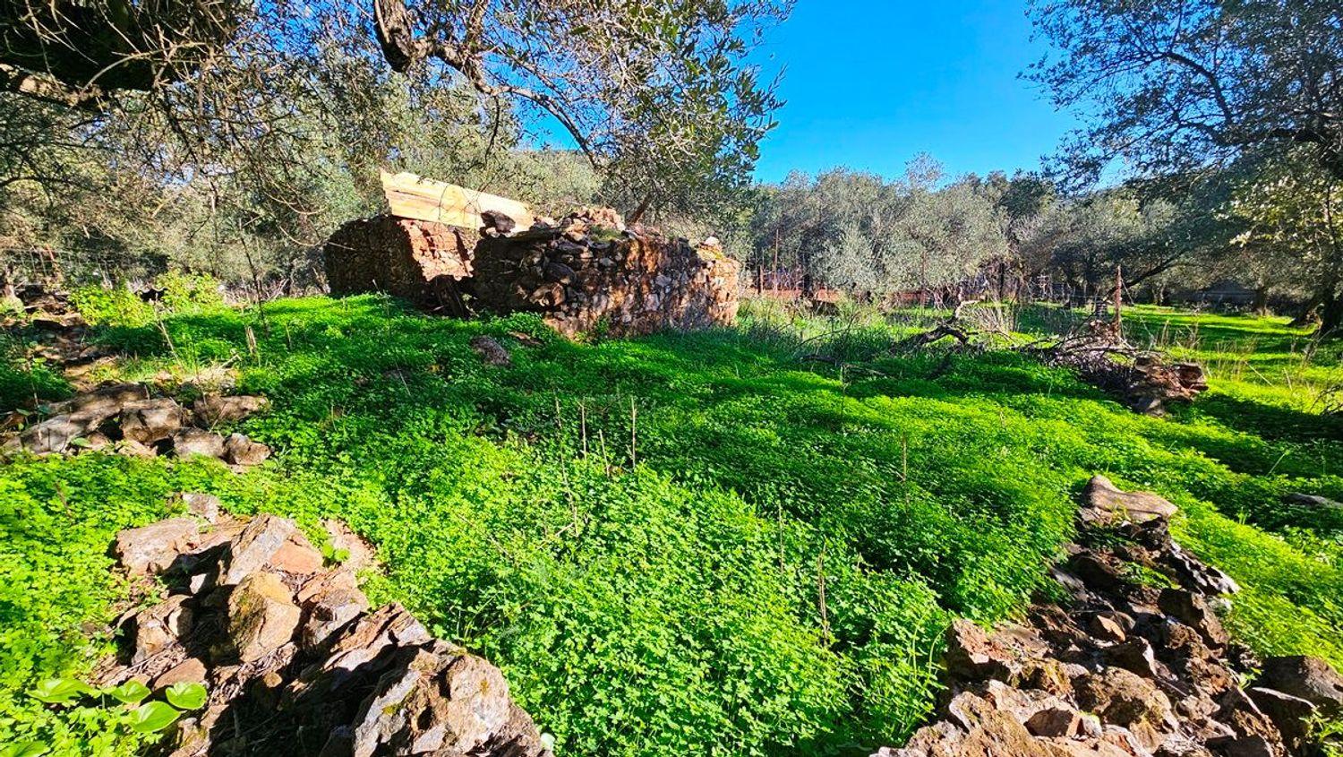 Building Site for Sale in Higuera de la Sierra