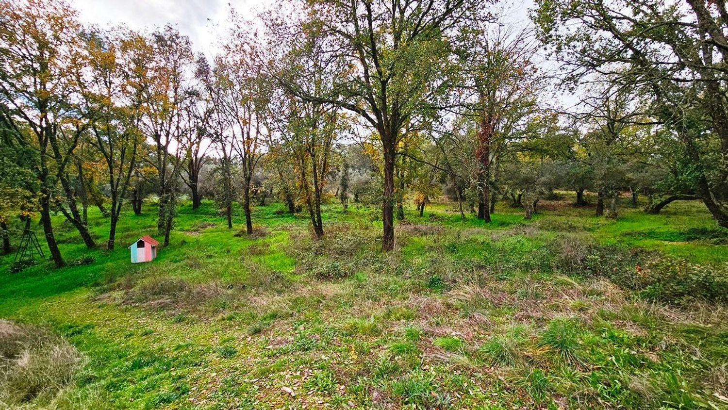 House for Sale in Galaroza