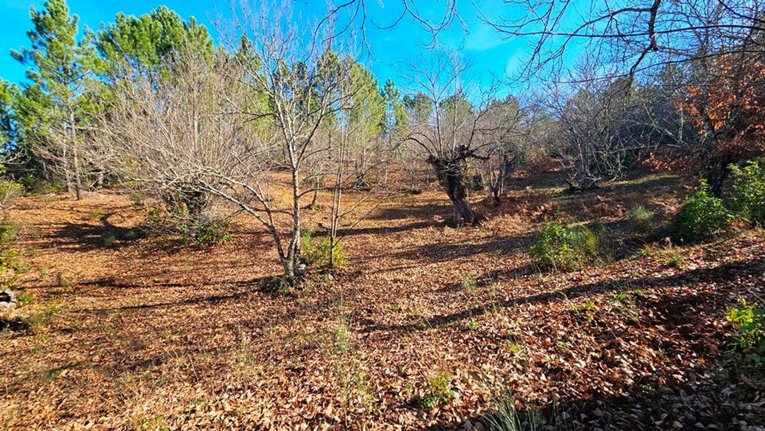 Building Site for Sale in Galaroza