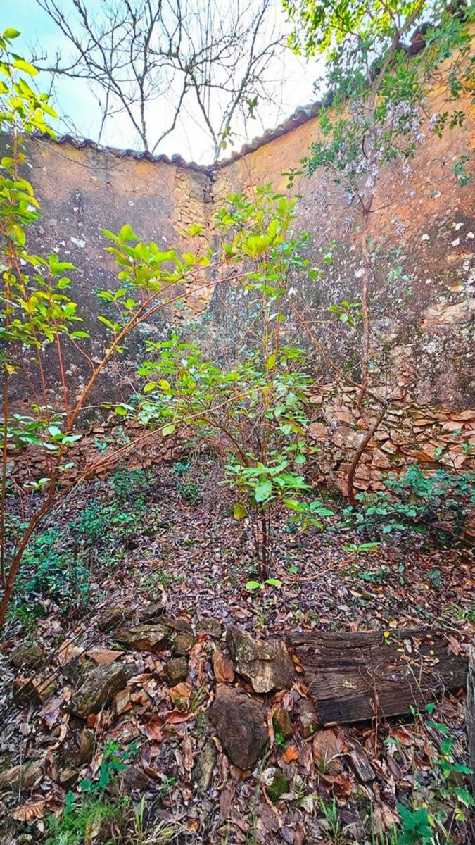 Building Site for Sale in Galaroza