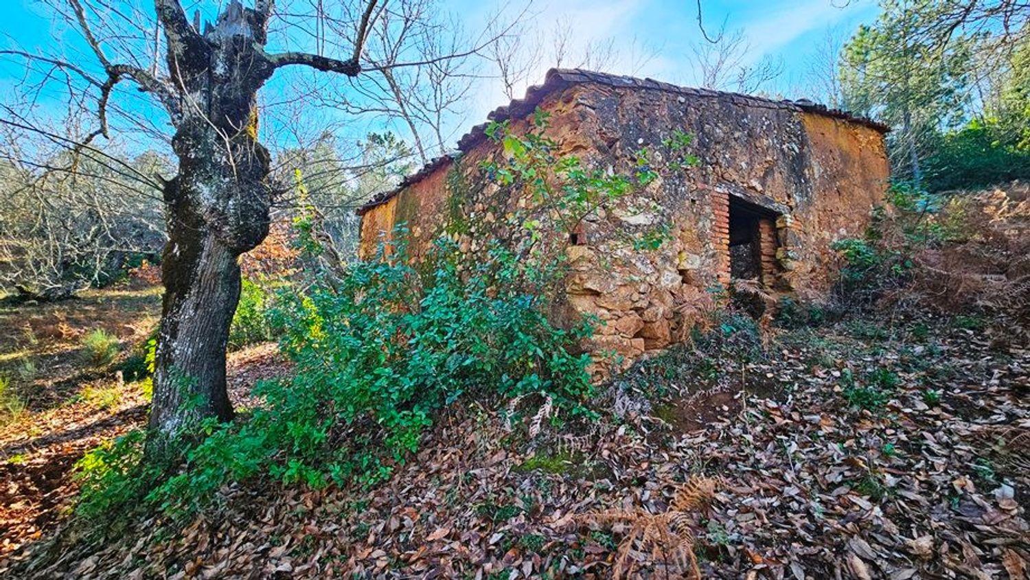 Building Site for Sale in Galaroza