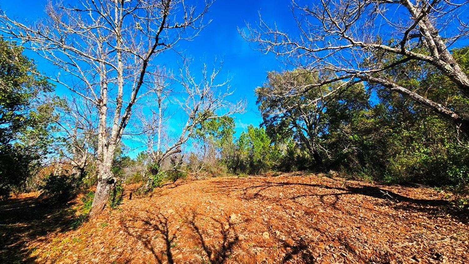 Building Site for Sale in Galaroza