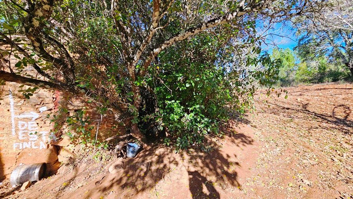 Building Site for Sale in Galaroza