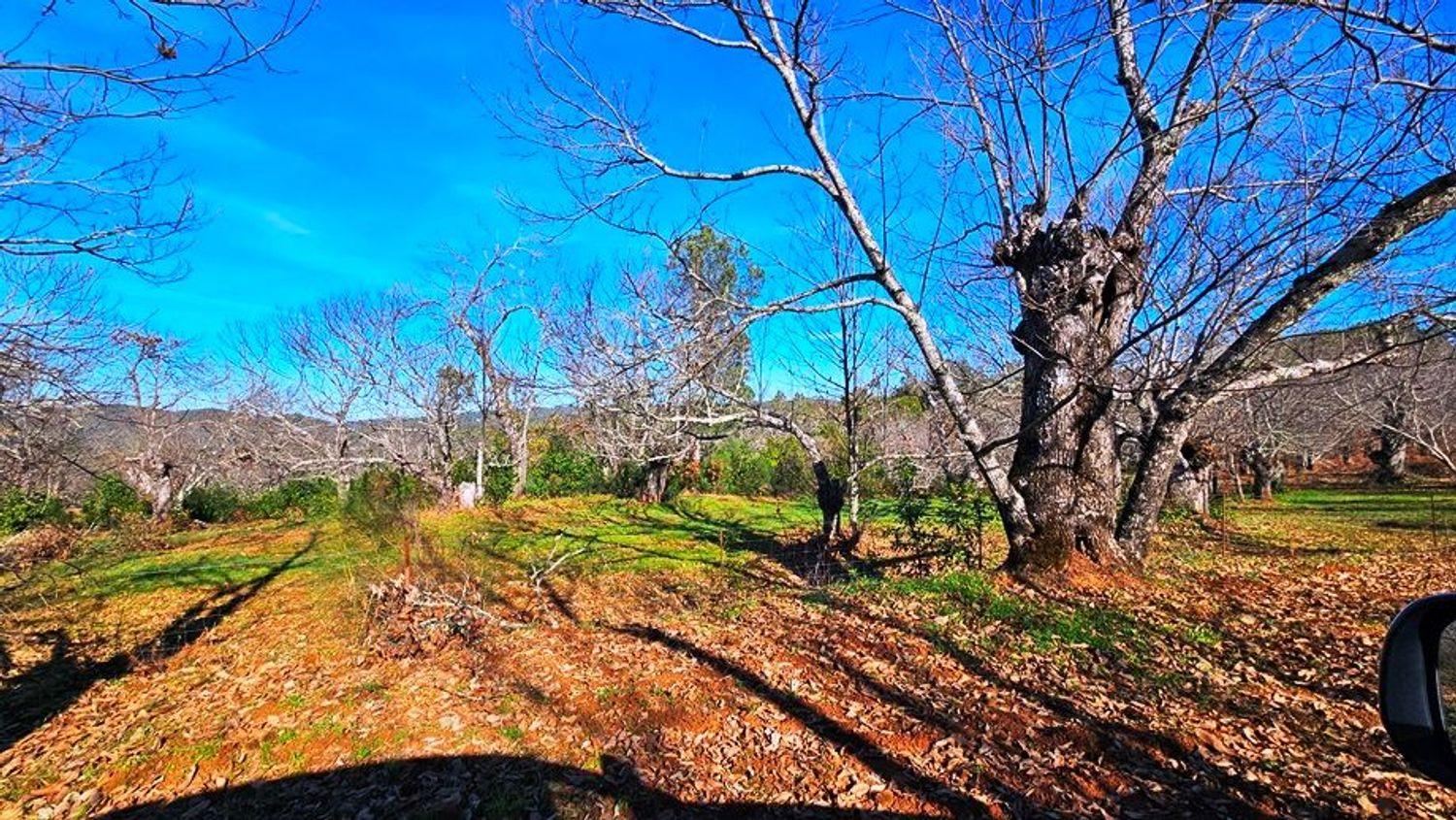 Building Site for Sale in Galaroza