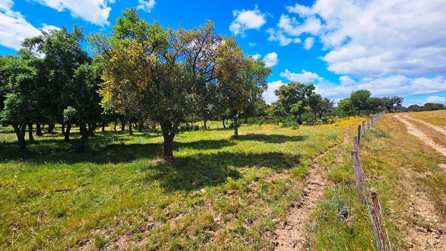 Casa en Venta en Almonaster la Real