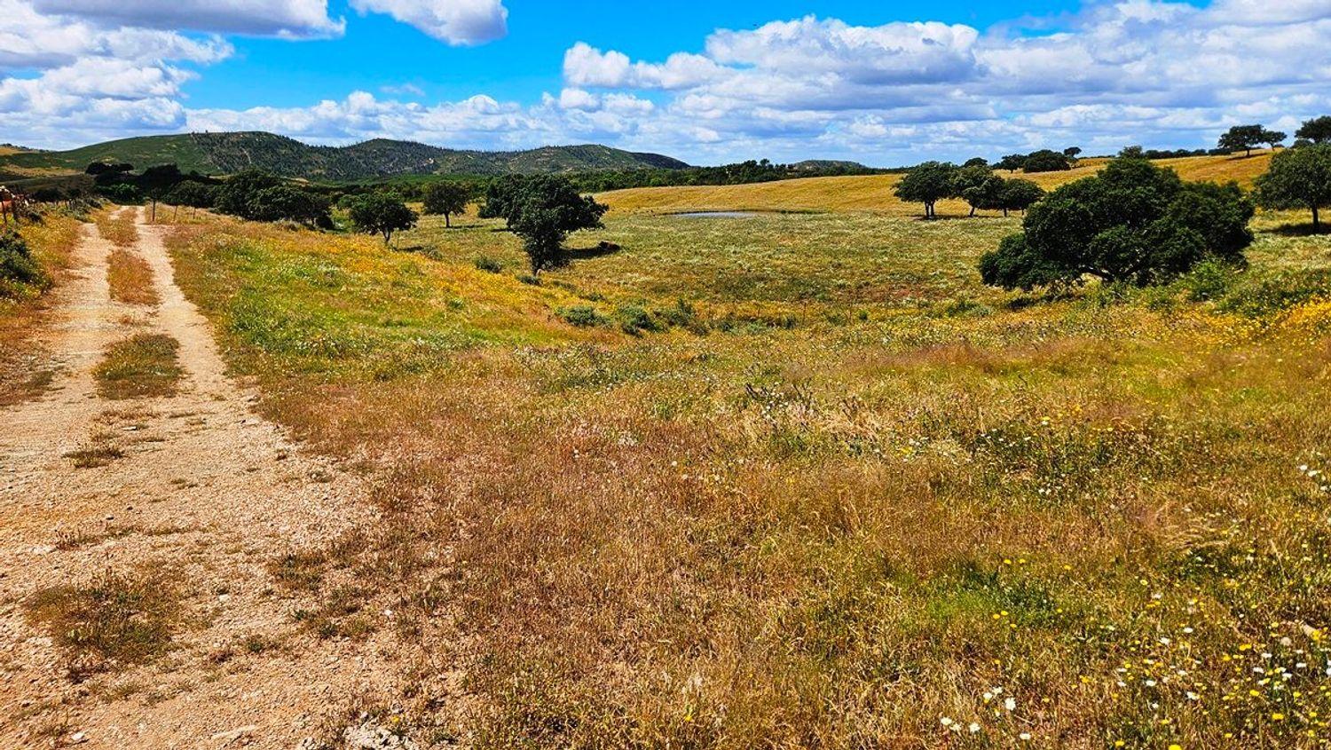 Casa en Venta en Almonaster la Real